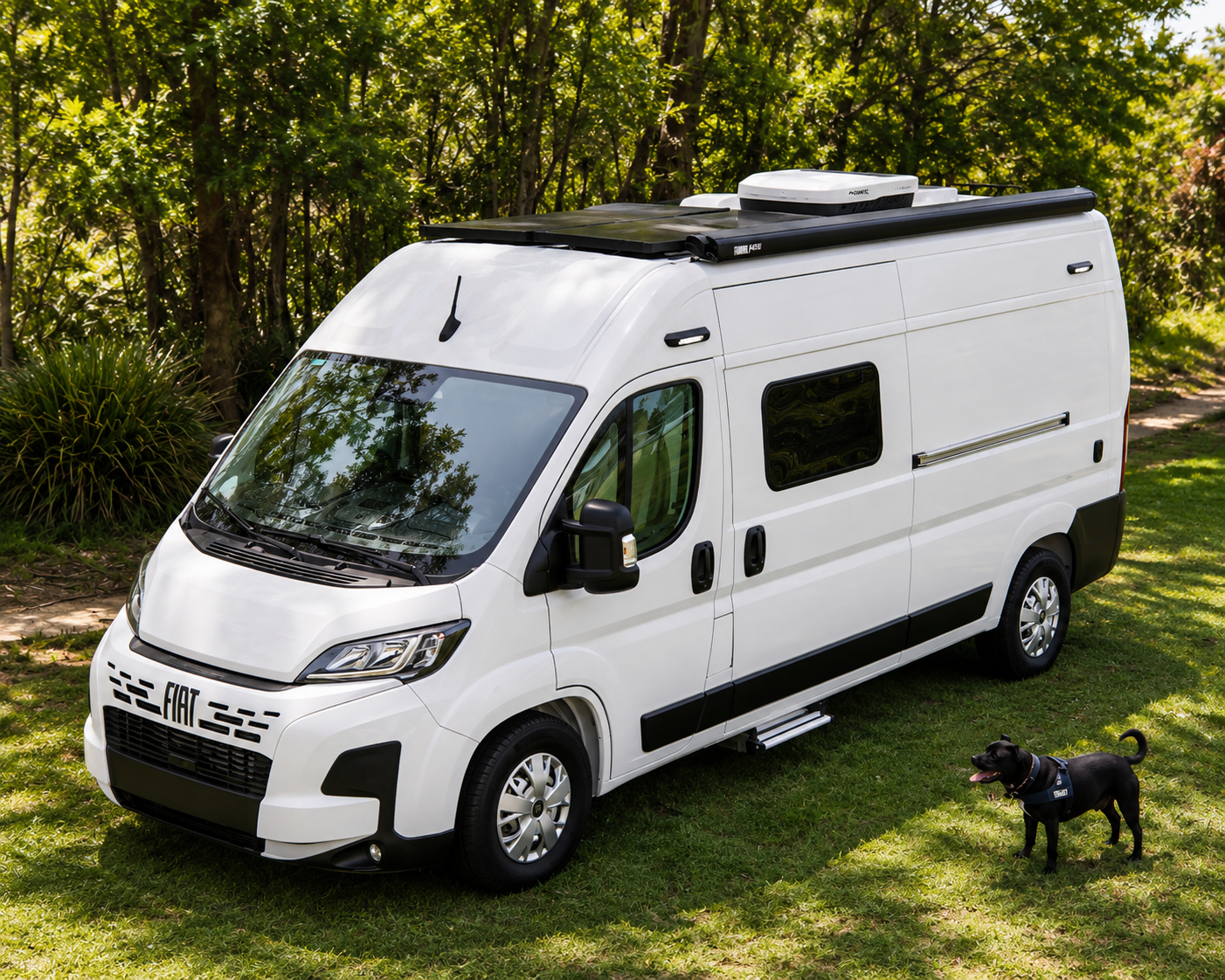 Van parked in bushland with a dog on the grass